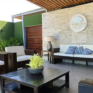 Lilu Curacao Buena Vista (Santa Rosa)